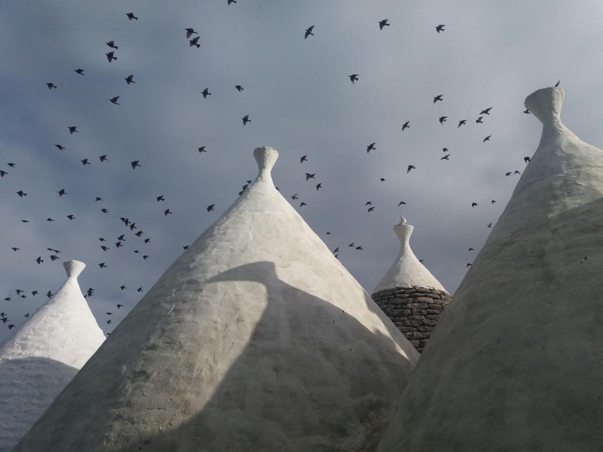 Trulli Di Puglia - Casa Vacanze In Valle D'Itria Мартіна-Франка Екстер'єр фото