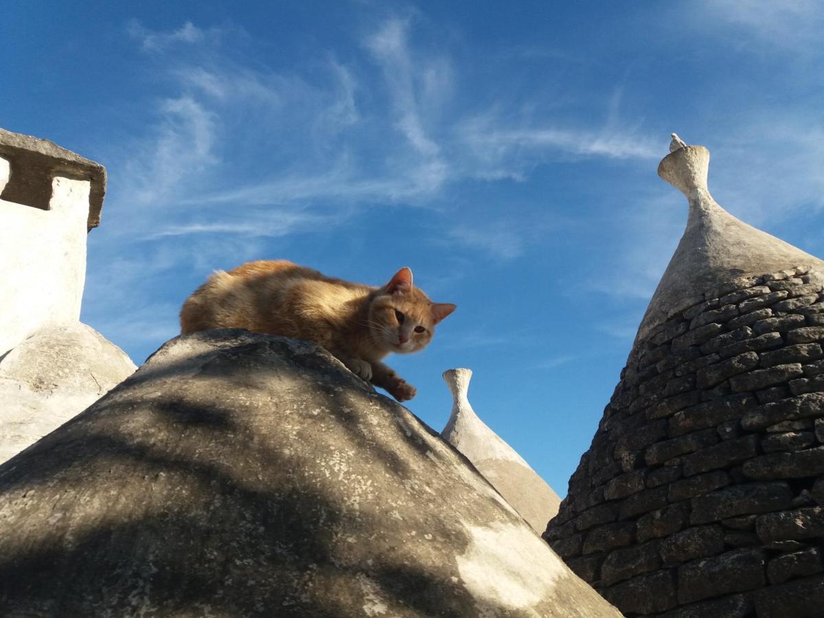 Trulli Di Puglia - Casa Vacanze In Valle D'Itria Мартіна-Франка Екстер'єр фото