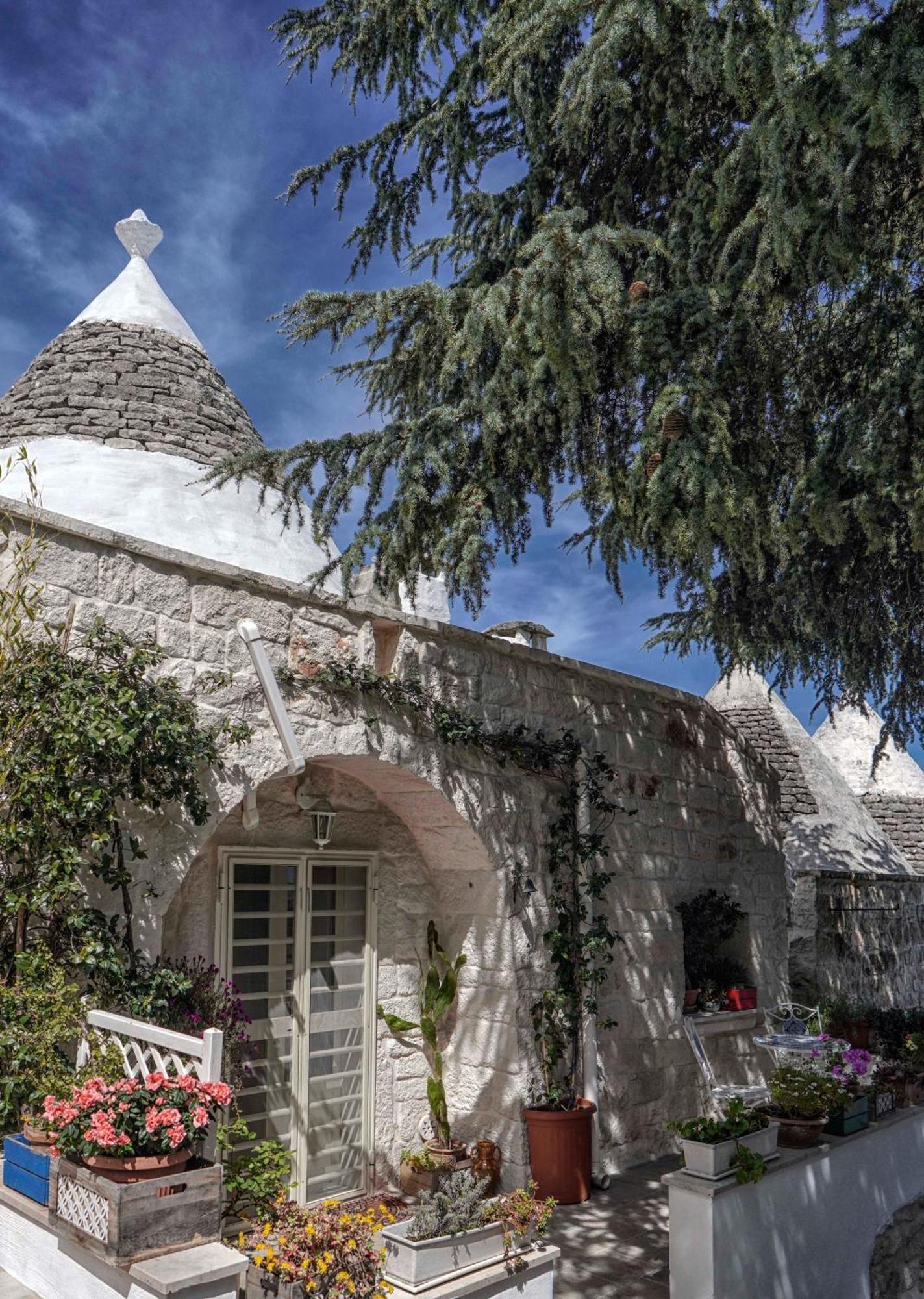 Trulli Di Puglia - Casa Vacanze In Valle D'Itria Мартіна-Франка Екстер'єр фото